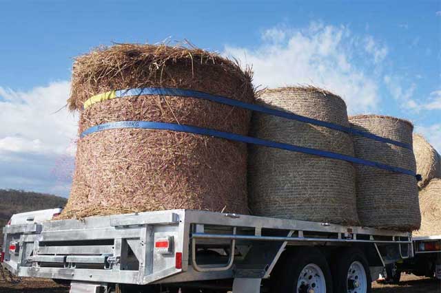 Flat Top Trailer for Agriculture